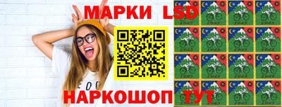 крисы Кингисепп