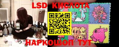 крисы Кингисепп