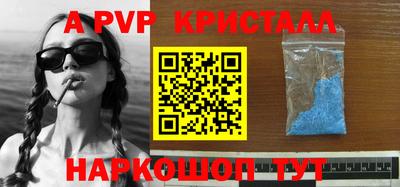 крисы Кингисепп
