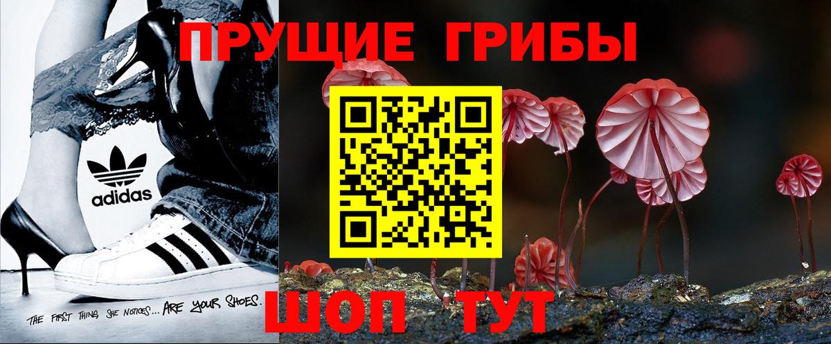 Псилоцибиновые грибы прущие грибы Комсомольск-на-Амуре